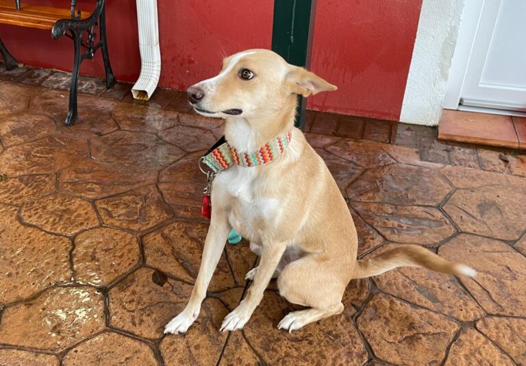 multimedia-foto81060-686-1