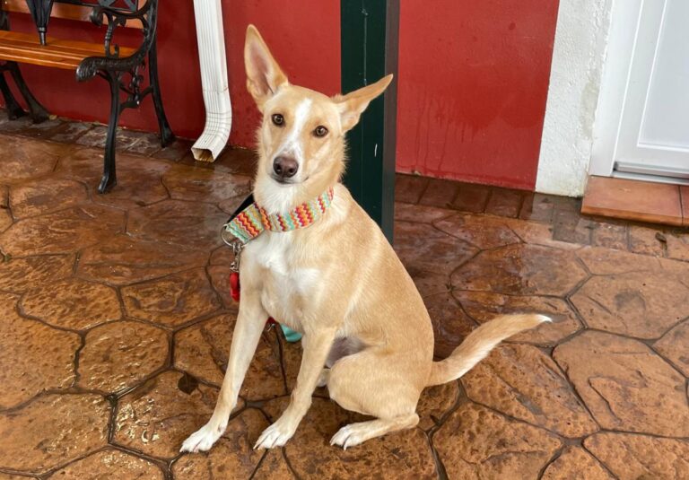 multimedia-foto81061-686-1