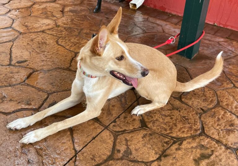 multimedia-foto81062-687-1