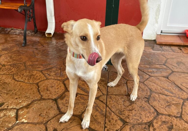 multimedia-foto81063-687-1