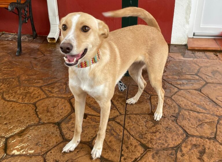 multimedia-foto81064-687-1