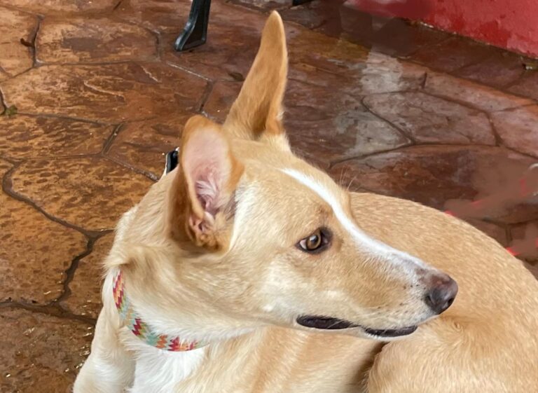 multimedia-foto81065-687-1