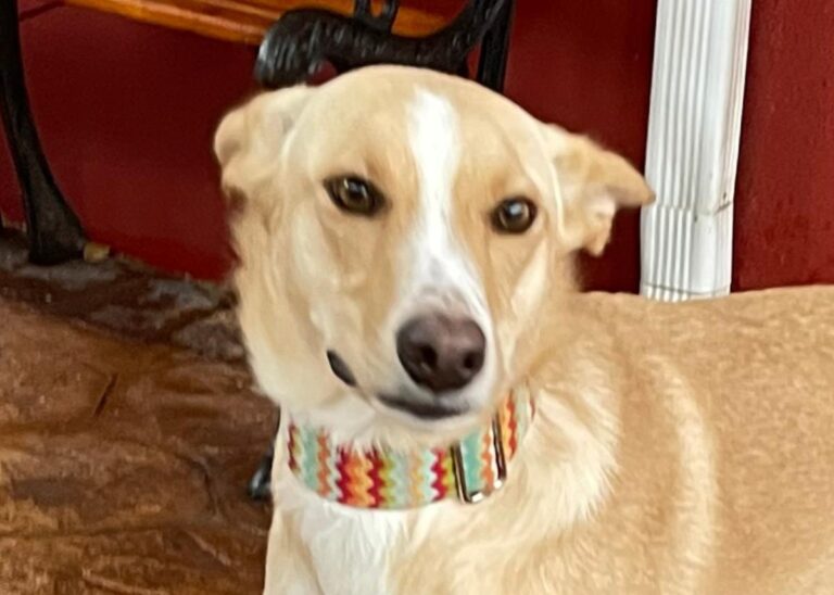 multimedia-foto81068-688-1