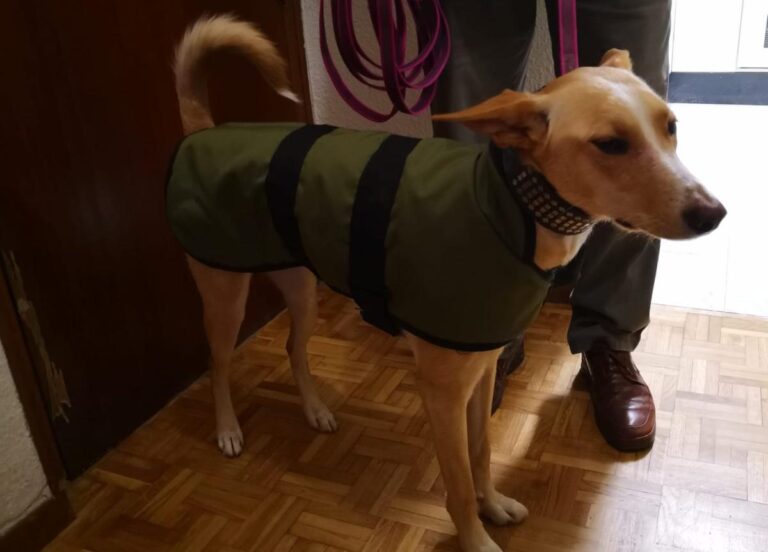 multimedia-foto81072-689-1