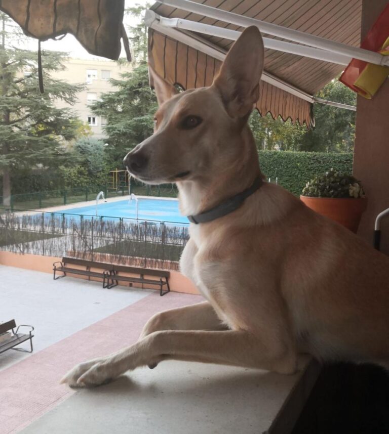 multimedia-foto81073-689-1