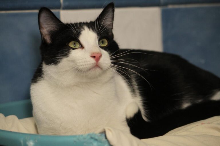 multimedia-foto81117-315-1