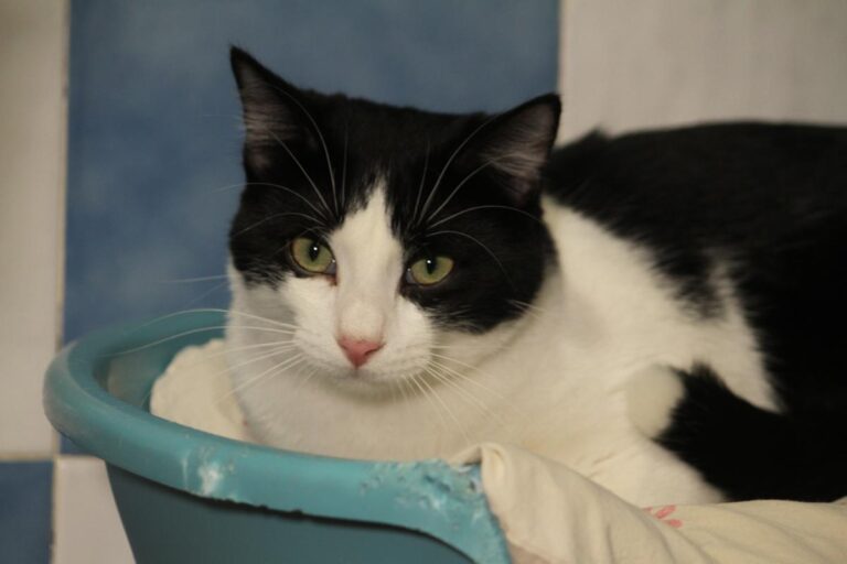 multimedia-foto81120-315-1