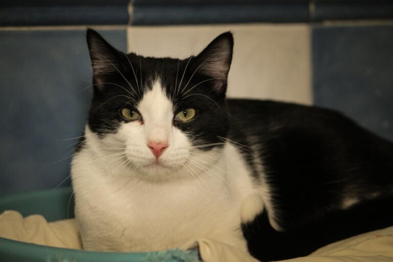 multimedia-foto81123-316-1