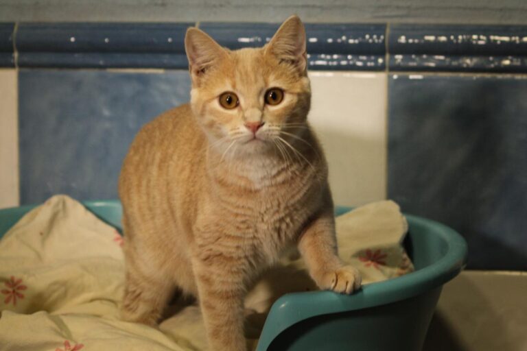 multimedia-foto81158-87-1