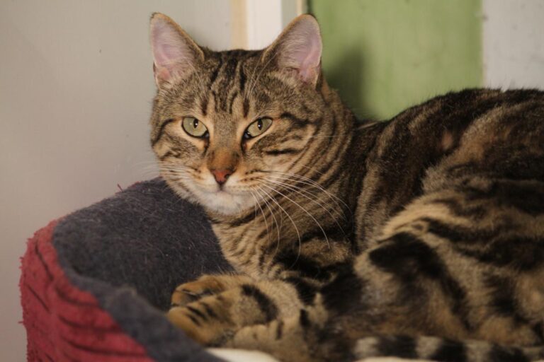 multimedia-foto81186-561-1