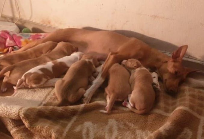 multimedia-foto81205-640-1