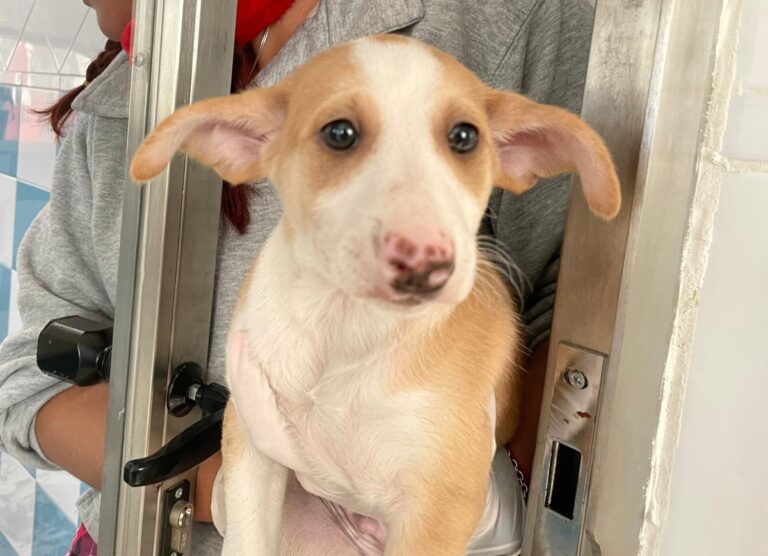 multimedia-foto81206-640-1