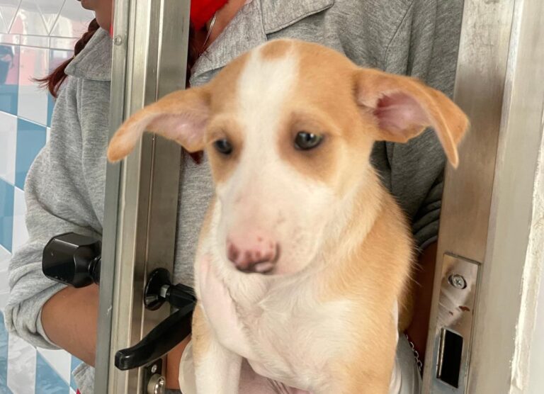 multimedia-foto81207-640-1