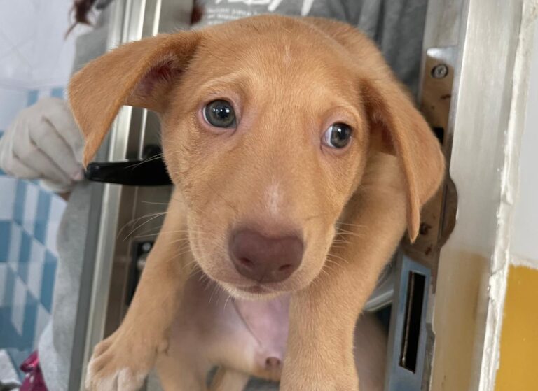 multimedia-foto81210-667-1