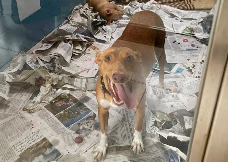 multimedia-foto81220-139-1