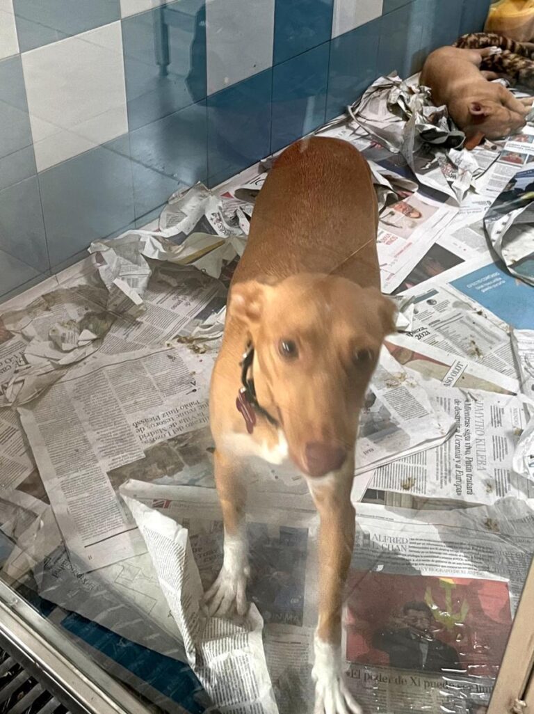 multimedia-foto81222-139-1