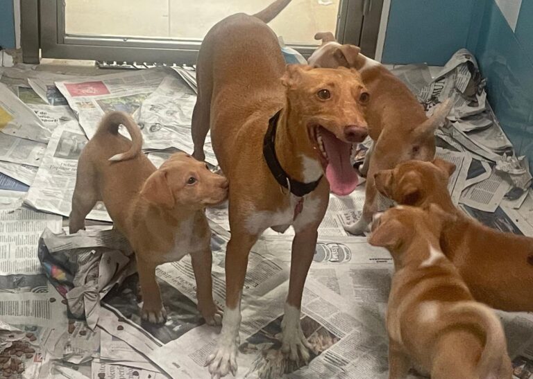 multimedia-foto81223-140-1