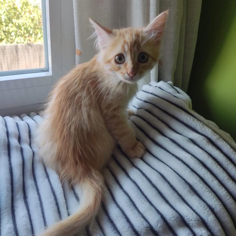 multimedia-foto81230-502-1