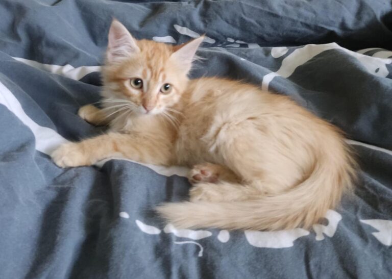 multimedia-foto81234-503-1