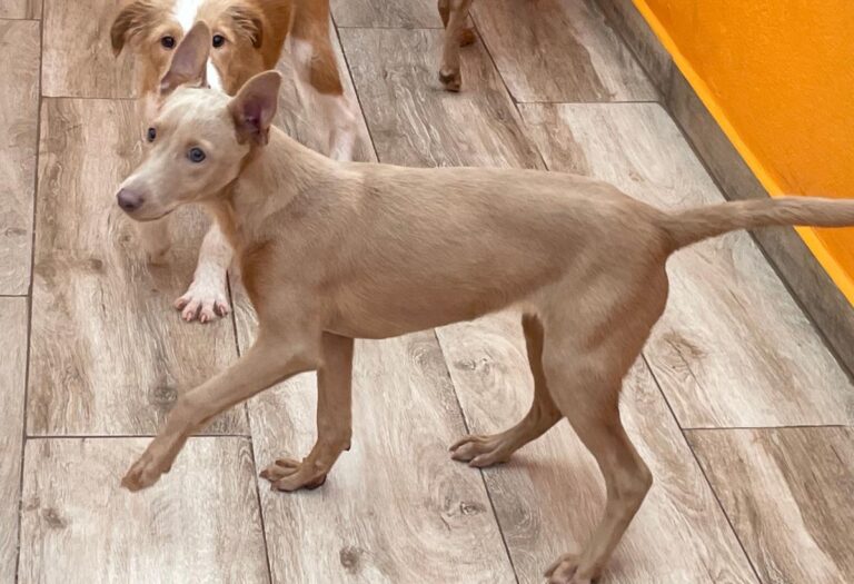 multimedia-foto81253-378-1