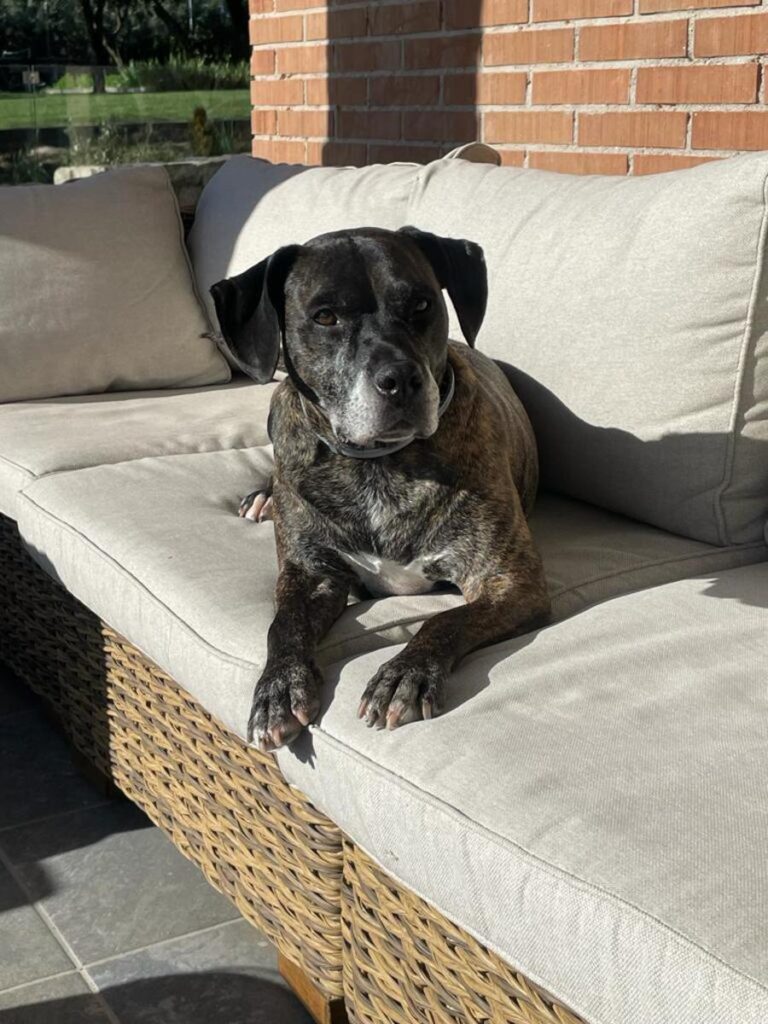 multimedia-foto81269-339-1