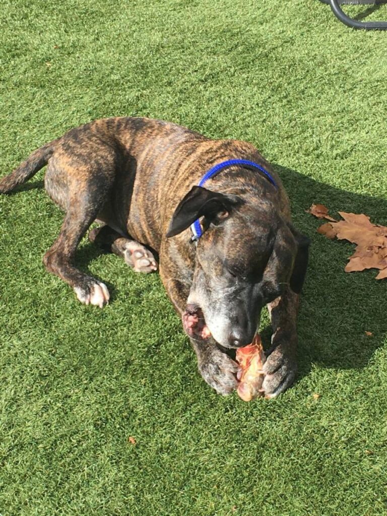 multimedia-foto81270-340-1