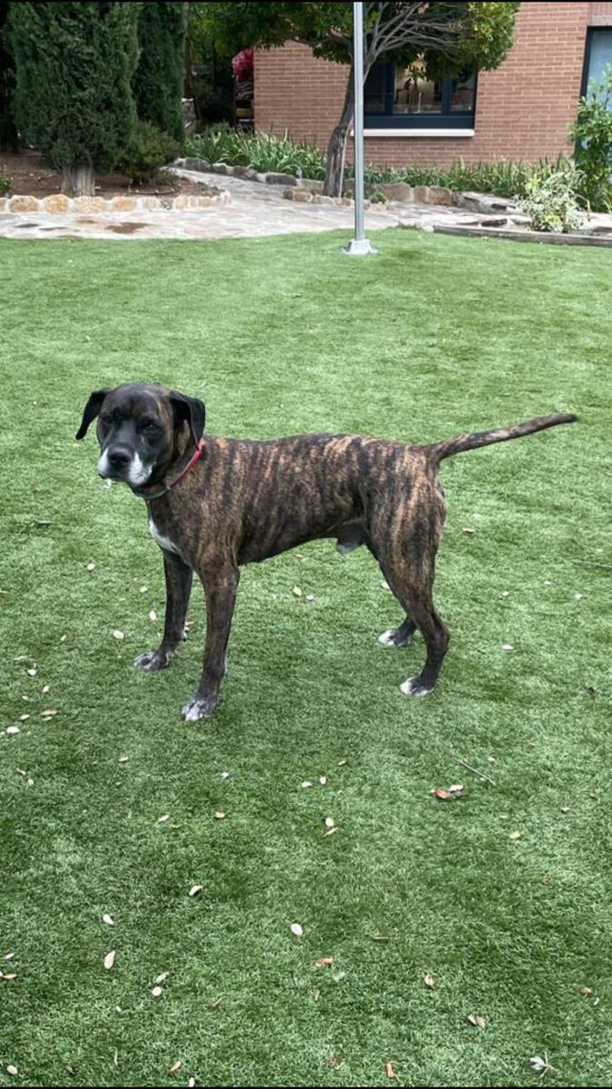 multimedia-foto81271-340-1