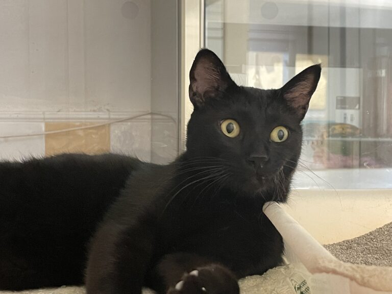 multimedia-foto81287-42-1