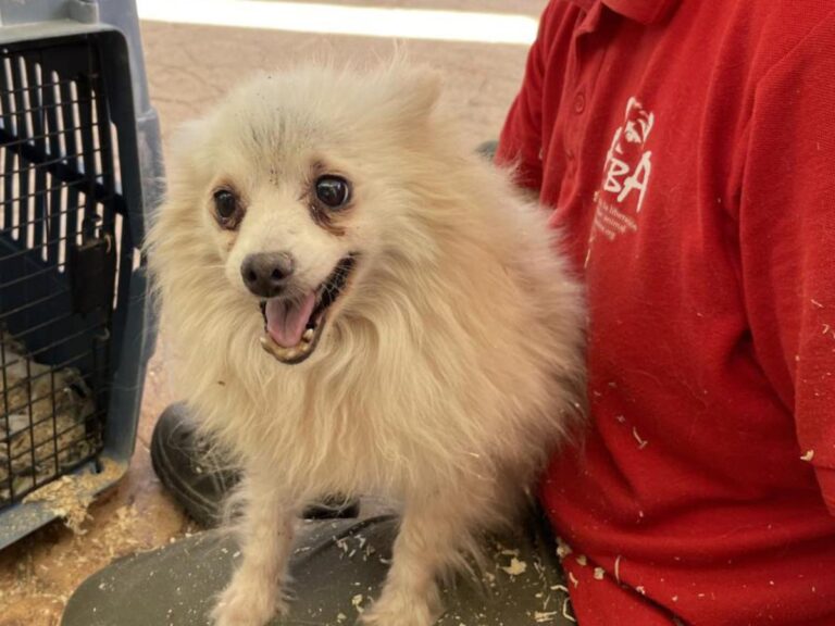 multimedia-foto81293-773-1