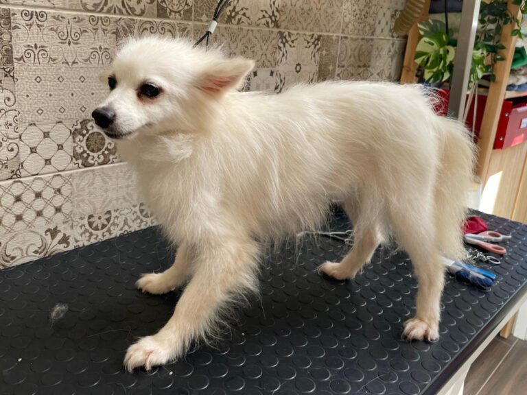 multimedia-foto81294-773-1