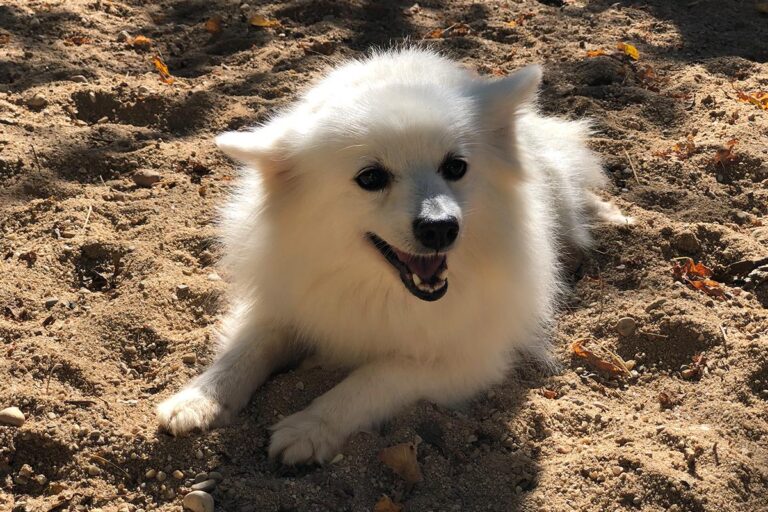 multimedia-foto81295-774-1