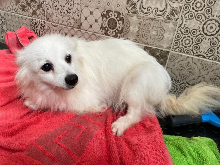 multimedia-foto81297-774-1