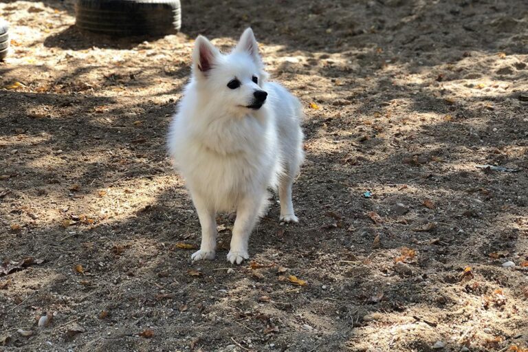 multimedia-foto81298-774-1