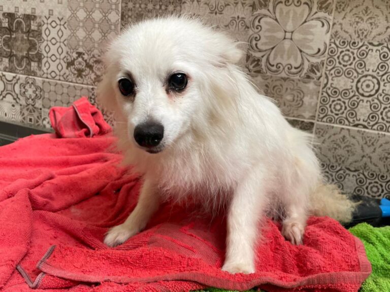 multimedia-foto81299-775-1