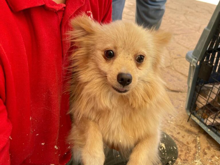 multimedia-foto81301-970-1