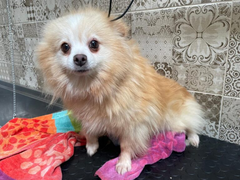 multimedia-foto81302-971-1