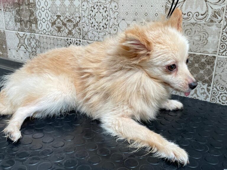 multimedia-foto81303-971-1