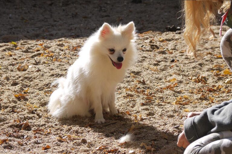 multimedia-foto81306-971-1