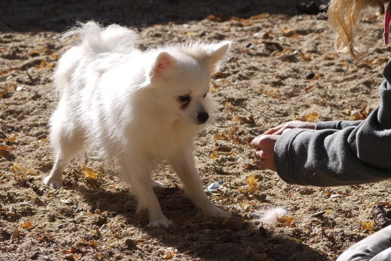 multimedia-foto81307-972-1