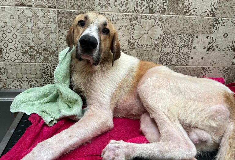 multimedia-foto81315-436-1