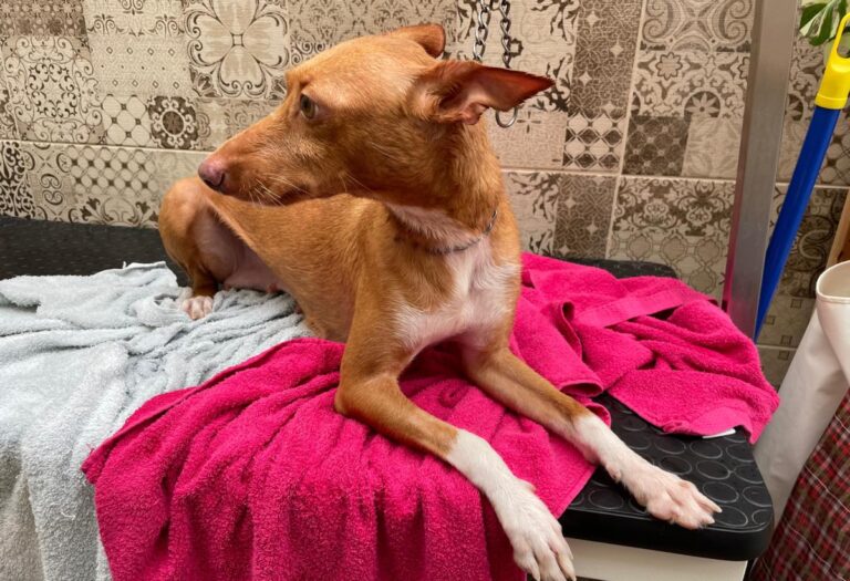 multimedia-foto81319-535-1