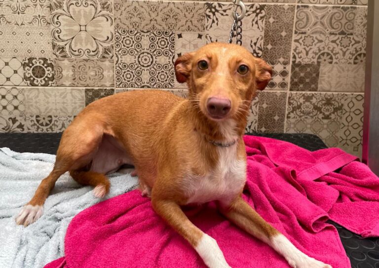 multimedia-foto81320-535-1