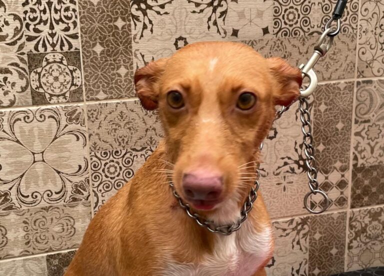 multimedia-foto81321-535-1