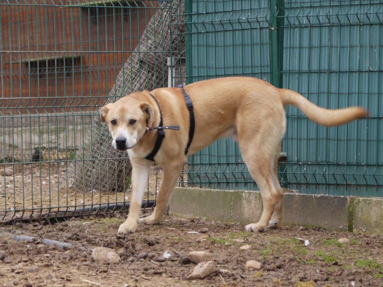 multimedia-foto81322-904-1