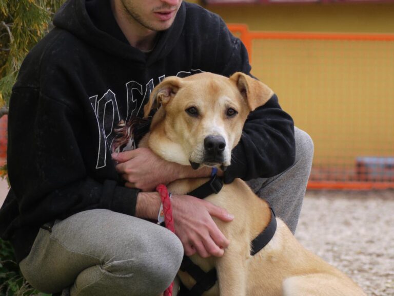 multimedia-foto81323-904-1