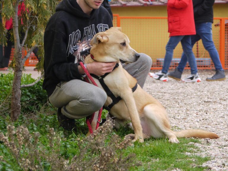 multimedia-foto81324-905-1