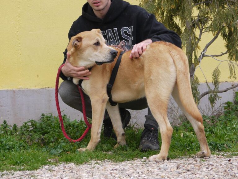 multimedia-foto81325-905-1