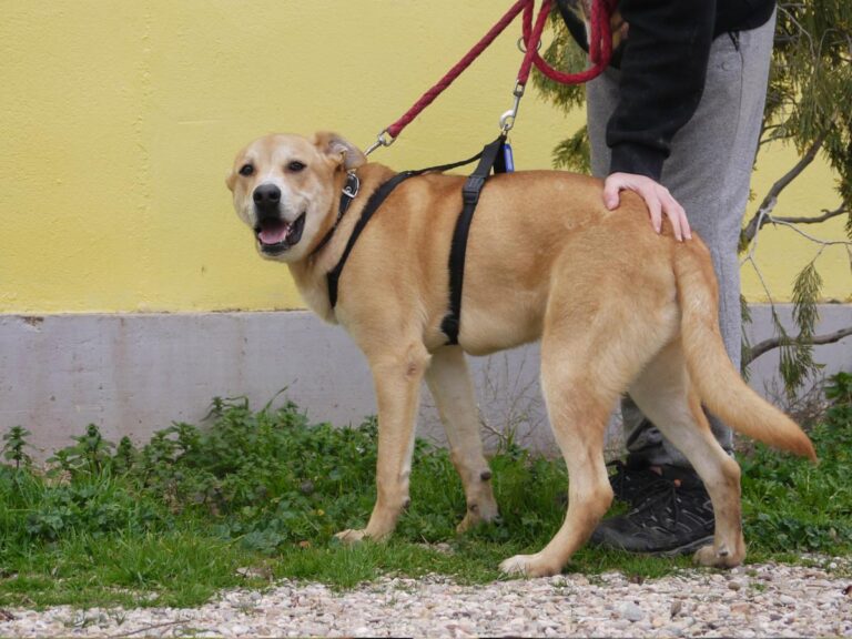 multimedia-foto81326-933-1