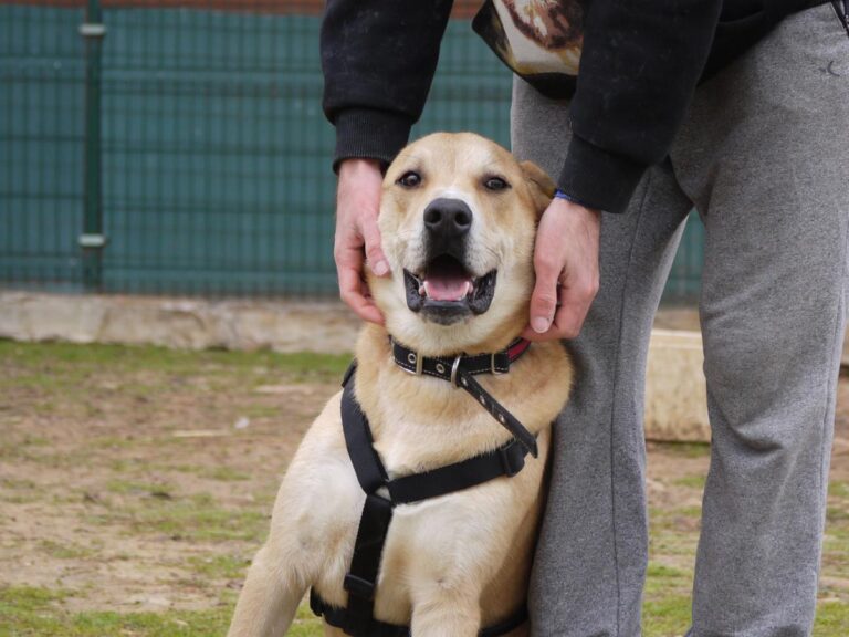 multimedia-foto81327-933-1