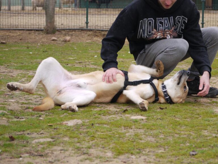 multimedia-foto81328-934-1